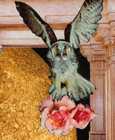 owl-ghazal-pic.jpg